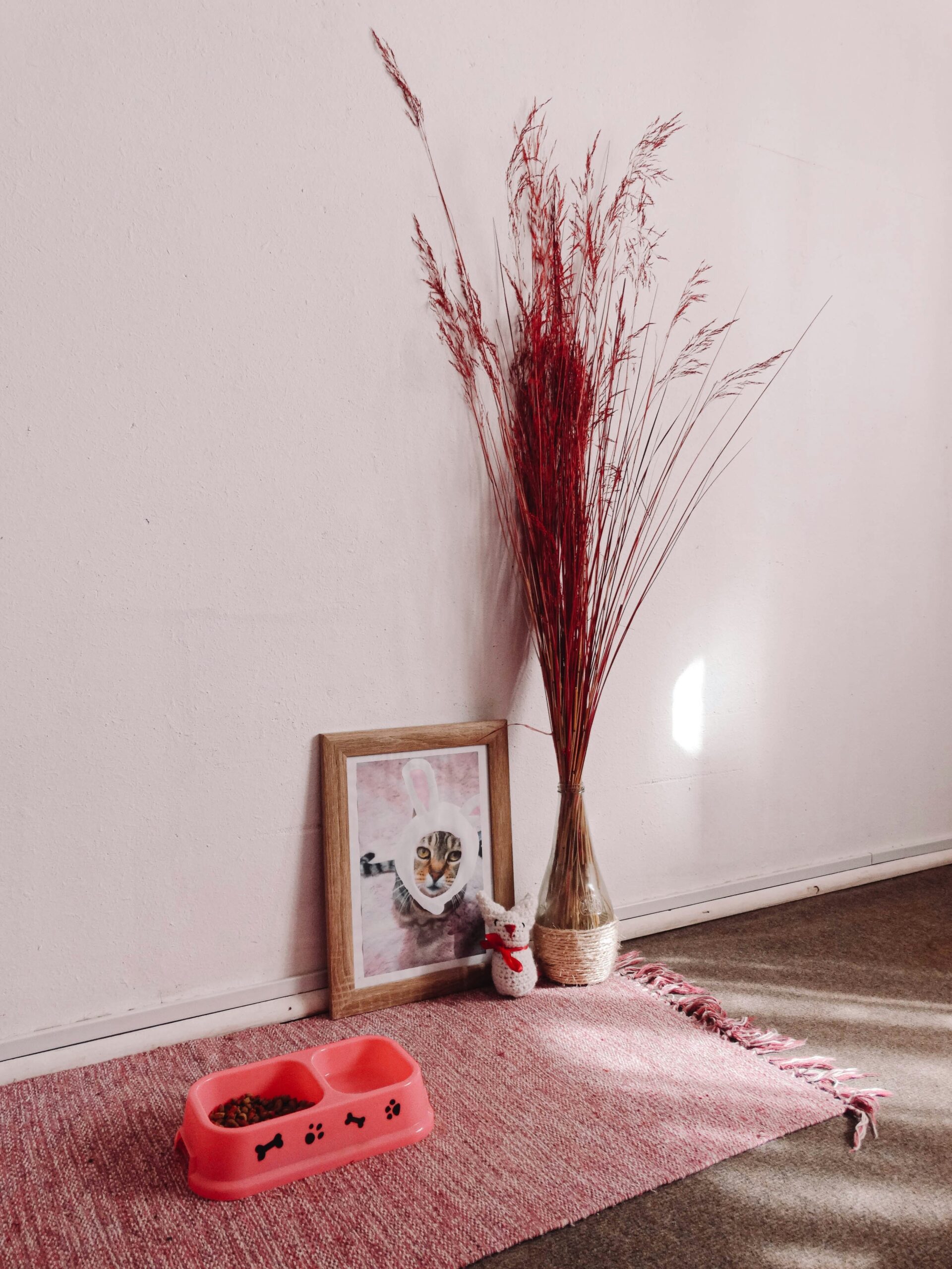 brown and red plant beside white wall